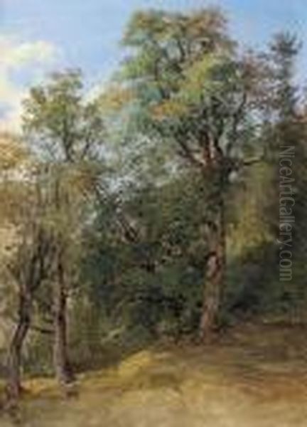 Studio Di Bosco Oil Painting by Friedrich Gauermann