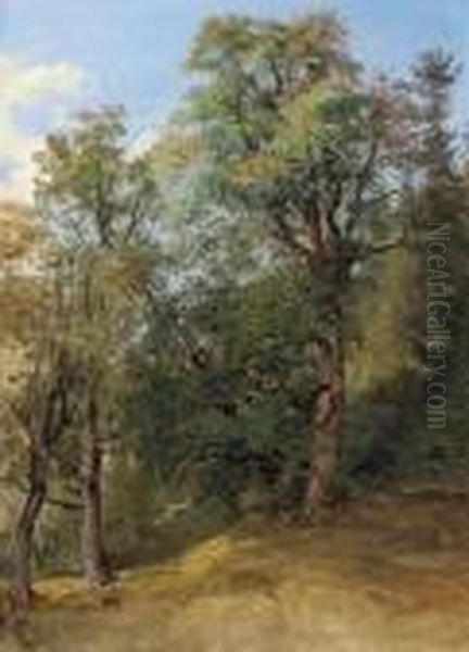 Studio Di Bosco Oil Painting by Friedrich Gauermann