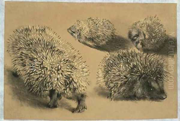 Four studies of a hedgehog Oil Painting by Adolph von Menzel