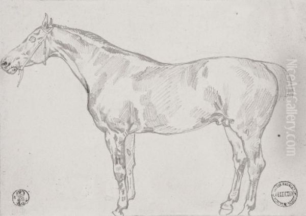 Study Of A Horse Oil Painting by Theodore Gericault