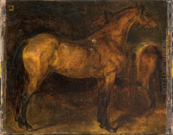 Etude De Cheval Espagnol Dans Une Ecurie Oil Painting by Theodore Gericault