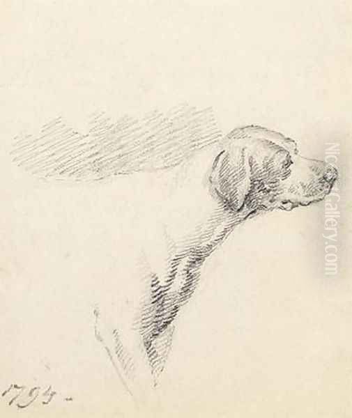 Study of a Hound 1794 Oil Painting by George Morland