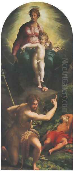 The Vision of St Jerome 1527 Oil Painting by Girolamo Francesco Maria Mazzola (Parmigianino)