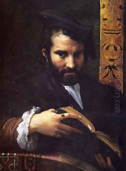 Portrait Of A Man With A Book Oil Painting by Girolamo Francesco Maria Mazzola (Parmigianino)