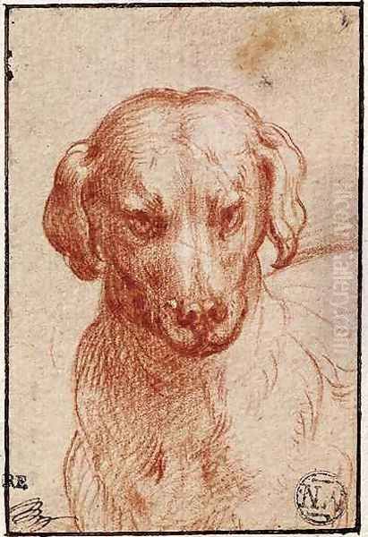 Head of a Dog Oil Painting by Girolamo Francesco Maria Mazzola (Parmigianino)