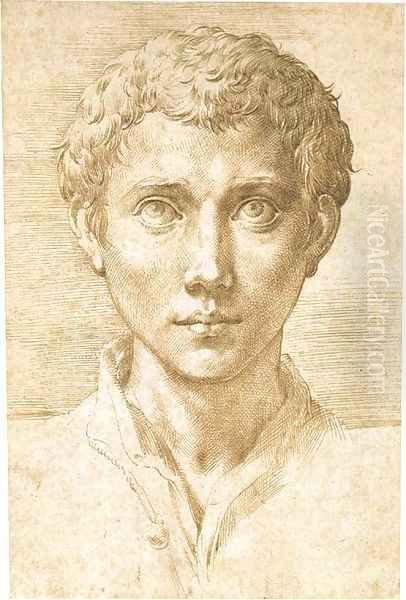 Head of a young man looking up Oil Painting by Girolamo Francesco Maria Mazzola (Parmigianino)