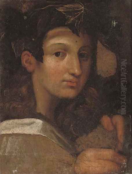 Head of the young Bacchus Oil Painting by Girolamo Francesco Maria Mazzola (Parmigianino)