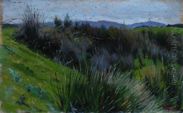 Paesaggio Consterpaglie Oil Painting by Luigi Gioli