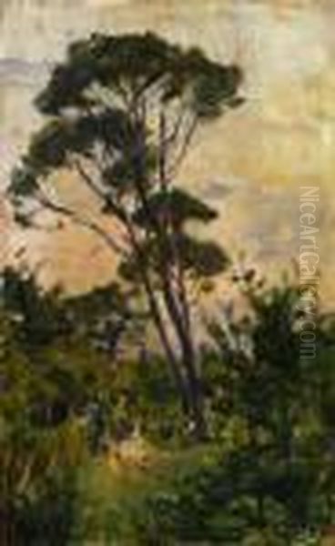 Paesaggio Con Alberi Oil Painting by Luigi Gioli