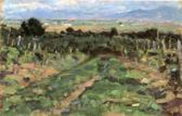 Panorama A Fauglia Oil Painting by Luigi Gioli