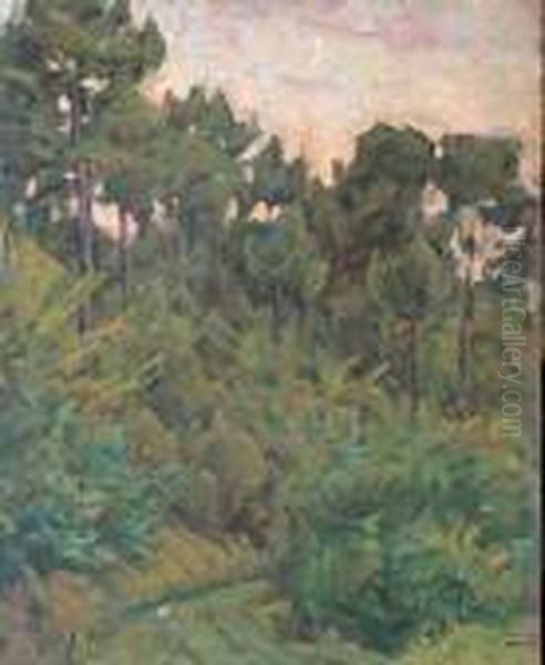 Scorcio Di Bosco Oil Painting by Luigi Gioli