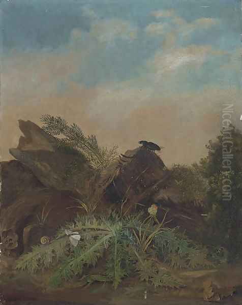 Study Of Butterflies, A Lizard, Snail And A Beetle On A Rocky Outcrop Oil Painting by William James Muller