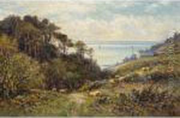 Coastal Ravine With Sheep Grazing Oil Painting by Alfred Augustus Glendening