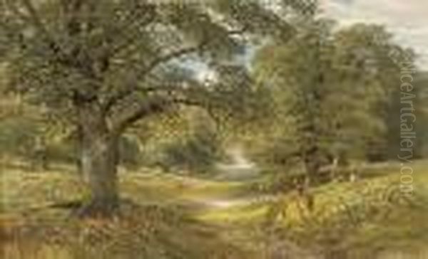 Deer In A Wooded Landscape Oil Painting by Alfred Augustus Glendening