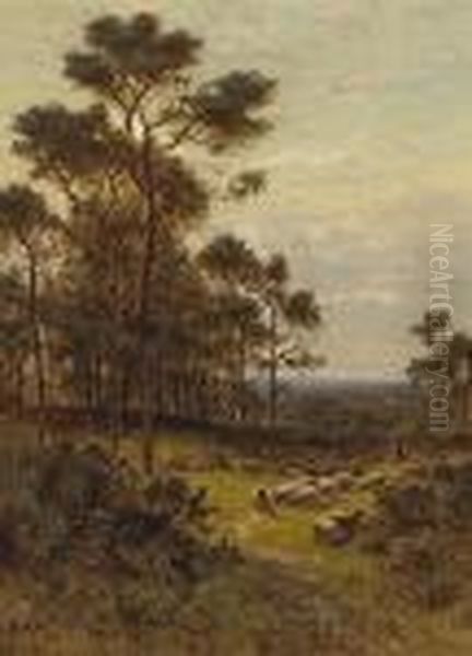 Surrey Pines Oil Painting by Alfred Augustus Glendening