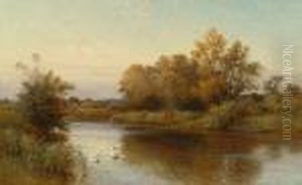 Swans On A River Oil Painting by Alfred Augustus Glendening