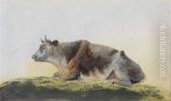 Study Of A Cow In The Vicinity Of Hampstead Heath Oil Painting by John Glover