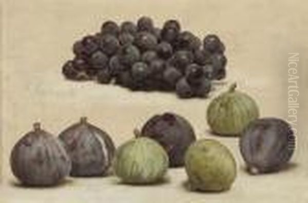 Still Life Of Grapes And Figs Oil Painting by John William Godward