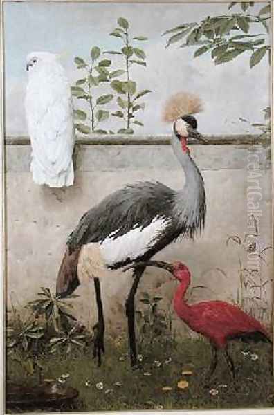 Cockatoo Crested Crane and Scarlet Ibis Oil Painting by Henry Stacy Marks