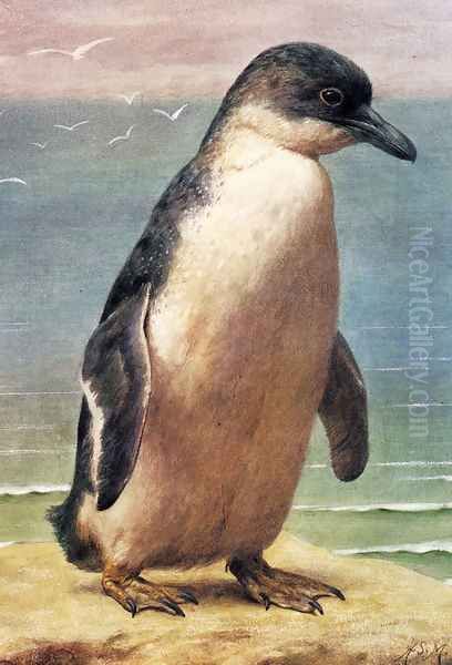 Study Of A Penguin Oil Painting by Henry Stacy Marks