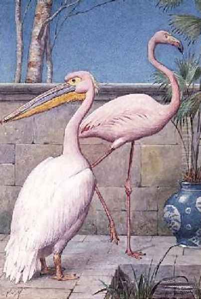 Pelican and Flamingo Oil Painting by Henry Stacy Marks