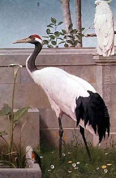 Manchurian Crane Cockatoo and Robin Oil Painting by Henry Stacy Marks