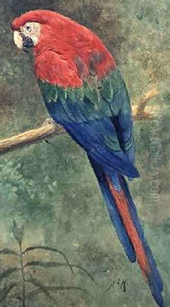 Red and Blue Macaw Oil Painting by Henry Stacy Marks