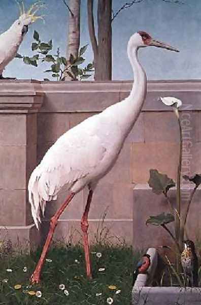 Indian Crane Cockatoo Bullfinch and Thrush Oil Painting by Henry Stacy Marks