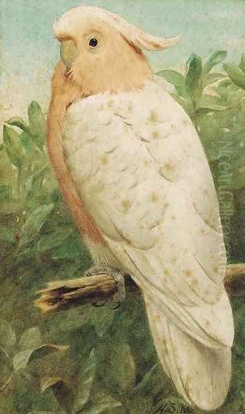 Pink cockatoo Oil Painting by Henry Stacy Marks