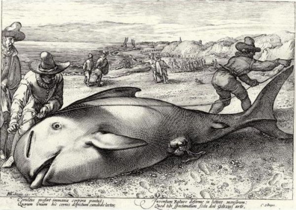 The Stranded Whale At The Shore Of Zandvoort Oil Painting by Hendrick Goltzius