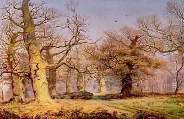 Oak Trees in Sherwood Forest 1877 Oil Painting by Andrew MacCallum