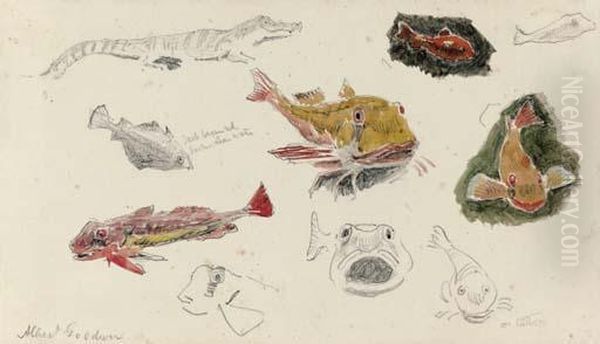 Studies Of Fish Oil Painting by Albert Goodwin