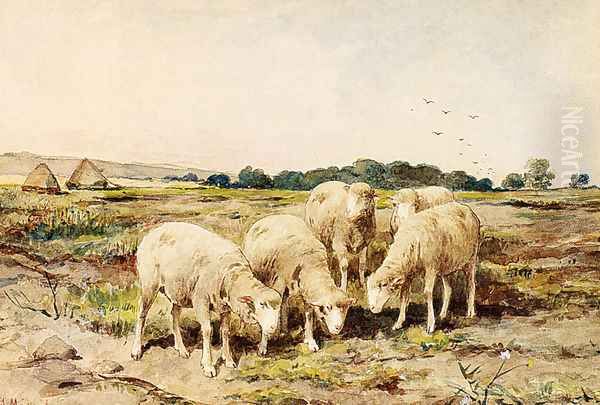 Grazing Sheep Oil Painting by Anton Mauve