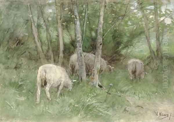 Sheep in a Meadow Oil Painting by Anton Mauve