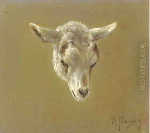 Head of a lamb - a study Oil Painting by Anton Mauve