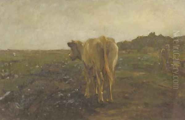 A cow in a meadow - a study Oil Painting by Anton Mauve