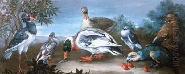 A Landscape with Parrots Ducks and Pigeons Oil Painting by Jean-Baptiste Monnoyer