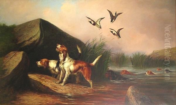 Otter Hounds And Ducks Oil Painting by Colin Graeme Roe