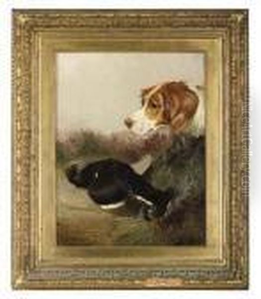 A Gundog Retreiving Oil Painting by Colin Graeme Roe