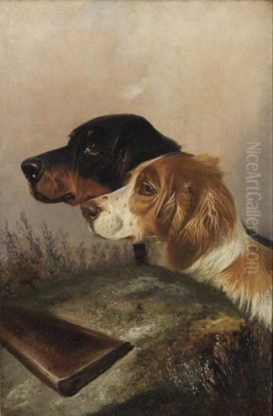 Head And Shoulder Portraits Of Gun Dogs Oil Painting by Colin Graeme Roe