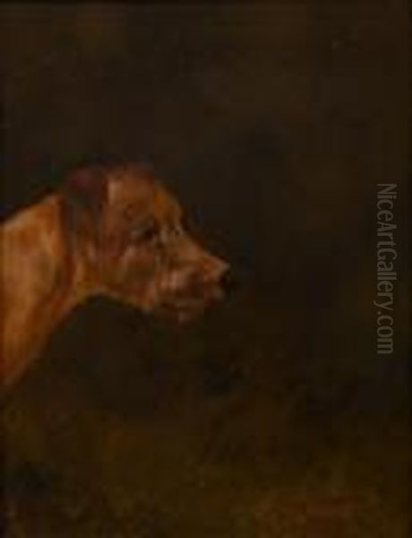 Irish Terrier Oil Painting by Colin Graeme Roe