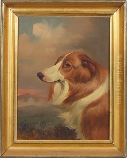 Portrait Of A Collie Dog Oil Painting by Colin Graeme Roe