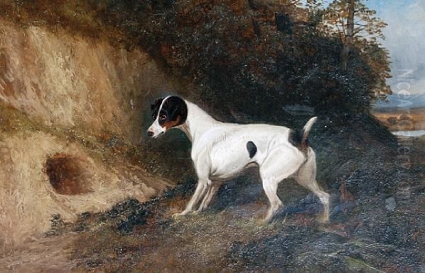 The Patient Terrier Oil Painting by Colin Graeme Roe