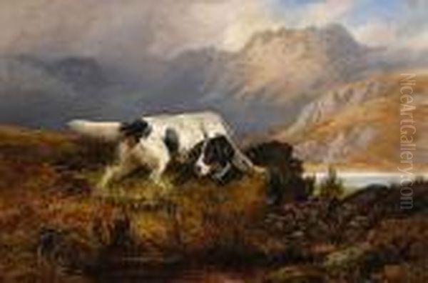 Setter In The Heather Oil Painting by Colin Graeme Roe