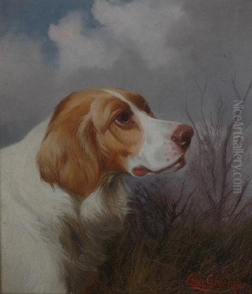 Head Of A Hound. Oil Painting by Colin Graeme Roe