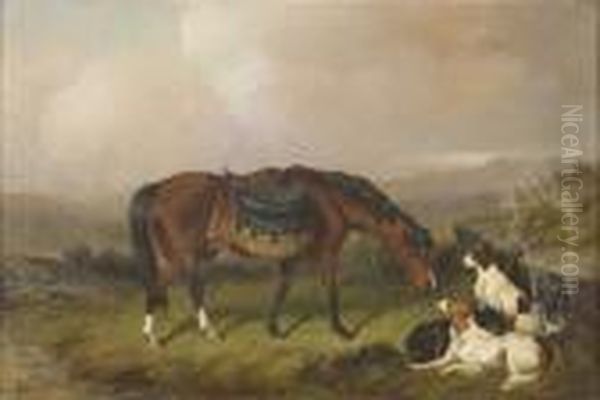 Cavallo Con Cani Da Caccia A Riposo Oil Painting by Colin Graeme Roe