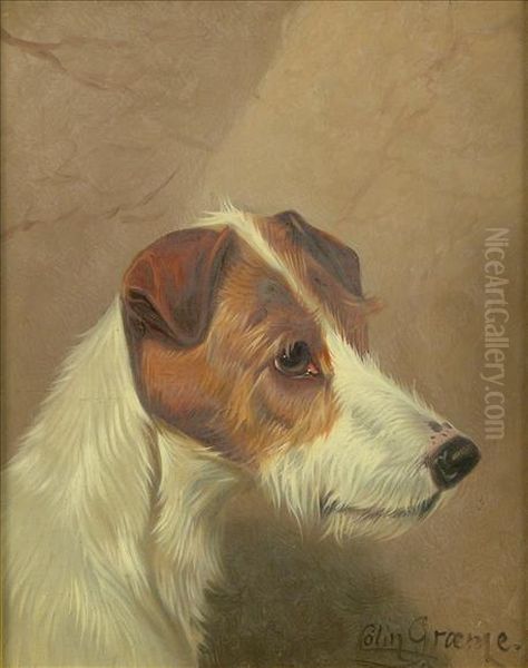 Head Studiesof Jack Russell Terrier Oil Painting by Colin Graeme Roe