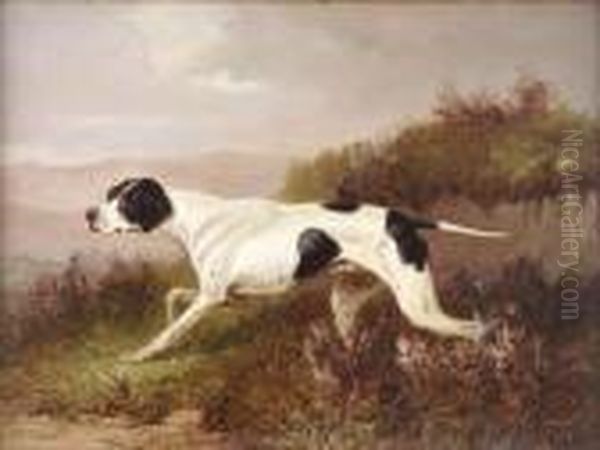 Study Of A Pointer In Heather Oil Painting by Colin Graeme Roe