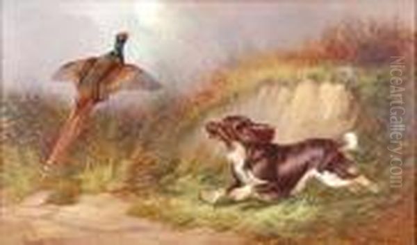 Spaniel Flushing A Pheasant Oil Painting by Colin Graeme Roe