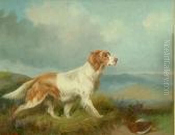 Brown And White Setter In A Highland Landscape Oil Painting by Colin Graeme Roe